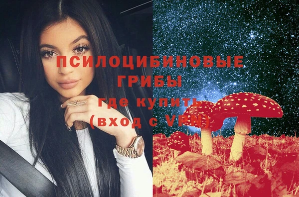 ешки Лагань