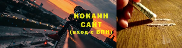 трава Лабытнанги