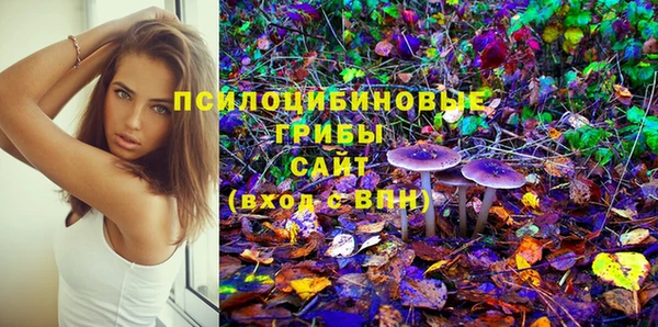 ешки Лагань