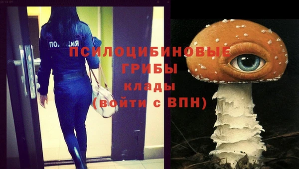 трава Лабытнанги