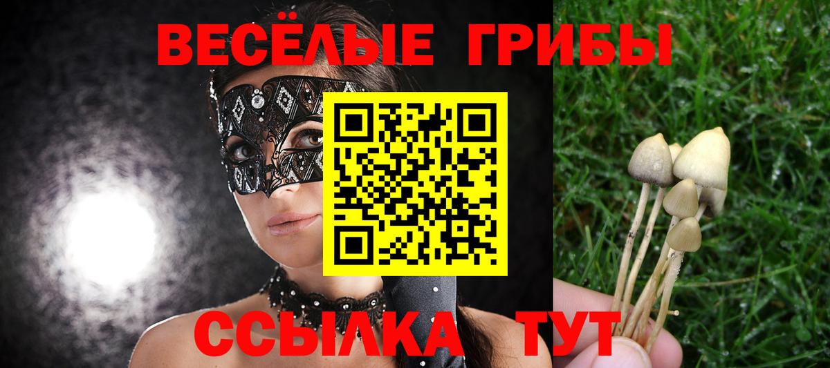 Моршанск  Галлюциногенные грибы мухоморы  Вход с VPN 