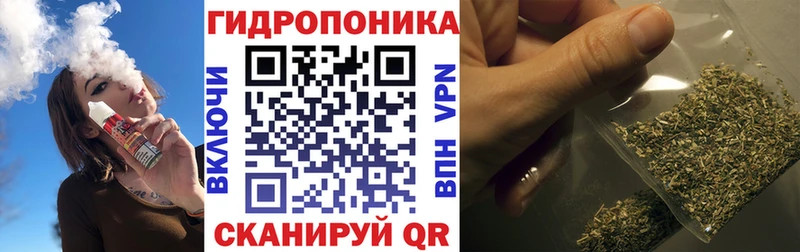 Конопля ГИДРОПОН  где можно купить   Моршанск 